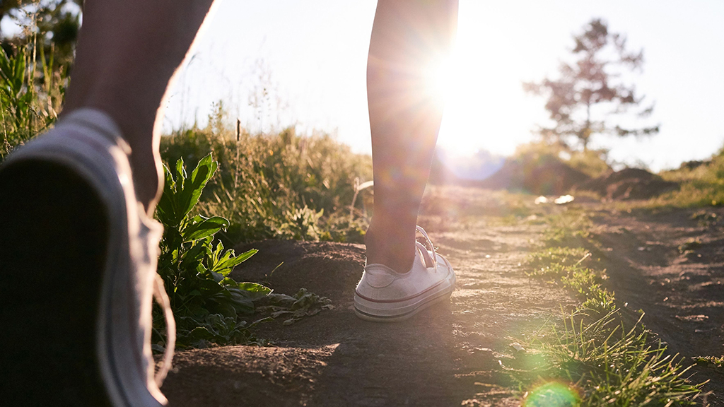 Citation William Hazlitt - Guénin Framboise